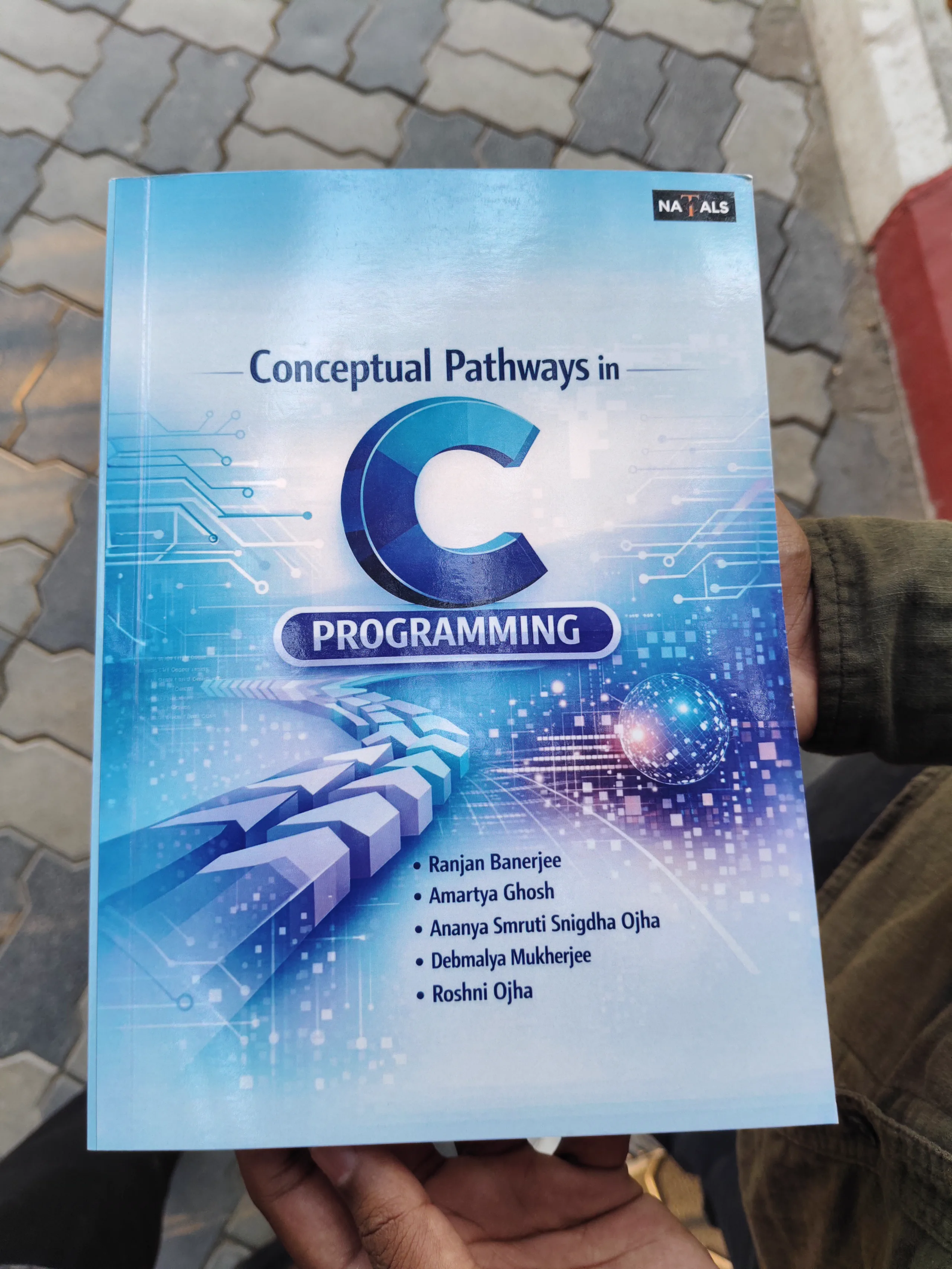 Published Chapter Author